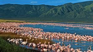 Rift Valley Lakes