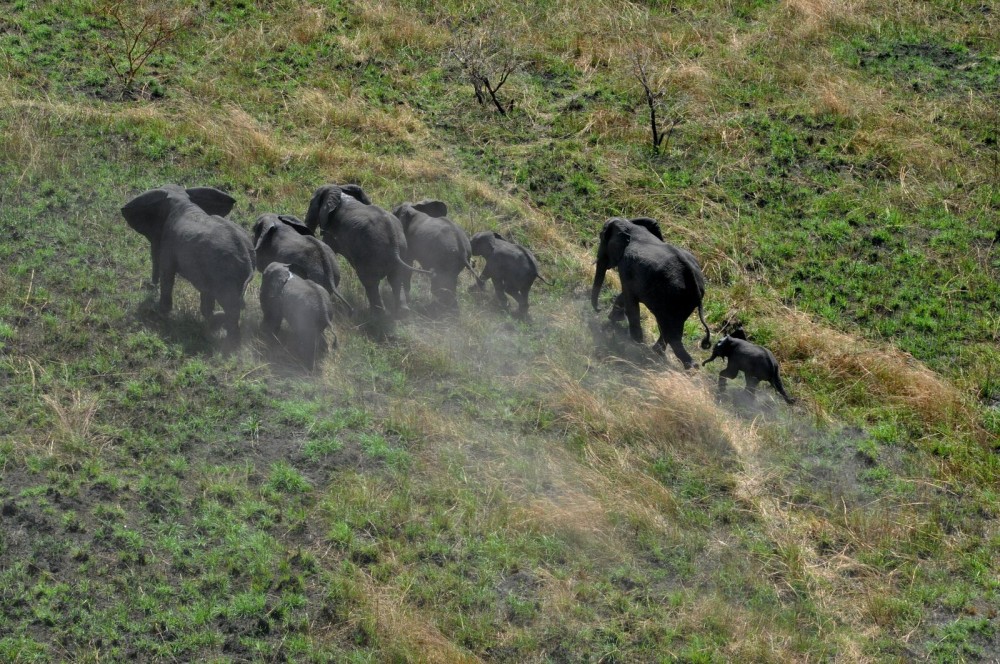 Gambella National Park